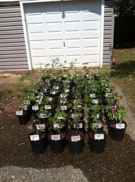 photo 431959_10151436298912285_156365332_n.jpg